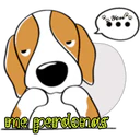 cute dog 21