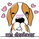 cute dog 2