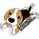 cute dog 20