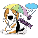 cute dog 6
