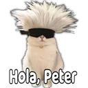 Animalitos2 ️ 30