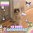 19
genderfae
rights!
CIELO
YA ERES
GenDeRFAE
you are valid