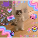 V
valid
****
atginder
right
G
eow
#C ta me