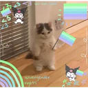 23
Z3
33
3 <3 you are valid
quivergender
rights!
*