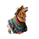 Mexican@s de   mov 27