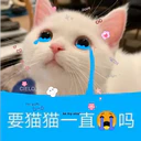 Cats in Chinese 30