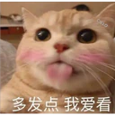 Cats in Chinese 4