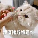 Cats in Chinese 12