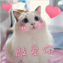 Cats in Chinese 19