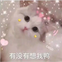 Cats in Chinese 7