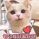 Cats in Chinese 23