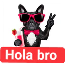 Perritos Graciosos 1