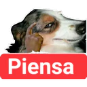 Perritos Graciosos 5