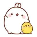 ️ Molang.MOV 4