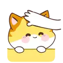 Orange Cat Mov. 10
