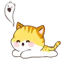 Orange Cat Mov. 7