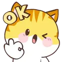 Orange Cat Mov. 8