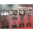G
2009
DUEÑOS DE LA GLORIA
★★★
M
RECOPA
2009
2010