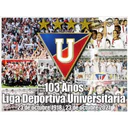 U
FELSE
at the
103 Años
Liga Deportiva Universitaria
23 de octubre 1918-23 de octubre 2021