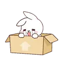 ️Pompom conejito   MOV 20