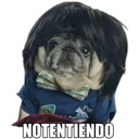 Perrito con frases 5
