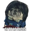 Perrito con frases 13