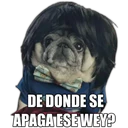 Perrito con frases 28