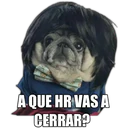 Perrito con frases 22