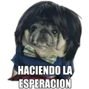 Perrito con frases 9