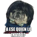 Perrito con frases 10