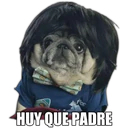 Perrito con frases 21