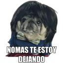 Perrito con frases 27