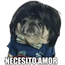 Perrito con frases 6