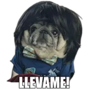 Perrito con frases 16
