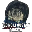 Perrito con frases 24
