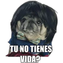Perrito con frases 12