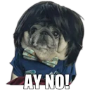 Perrito con frases 3