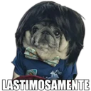 Perrito con frases 14