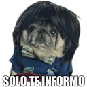 Perrito con frases 18