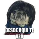 Perrito con frases 26