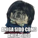 Perrito con frases 7