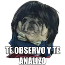 Perrito con frases 20