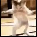 ️Gatitos uwu 4 mov 21