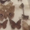 Brown aesthetic 5