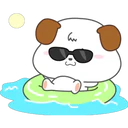 Cocopi Puppy 3 10