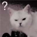 ?