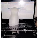 Gatitos Miiiaw 27