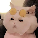 Gatitos Miiiaw 9