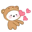 Hello Bear    Mov 17