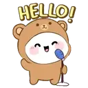 Hello Bear    Mov 20